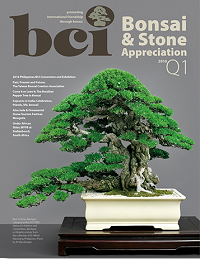 mag 2016Q1-cover-dropshadow-380 small