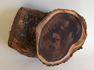 purple gidgee wood