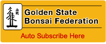 Golden State Bonsai Federation