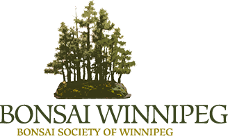 bonsai winnipeg