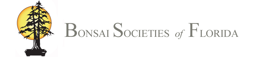 Bonsai Societies of Florida