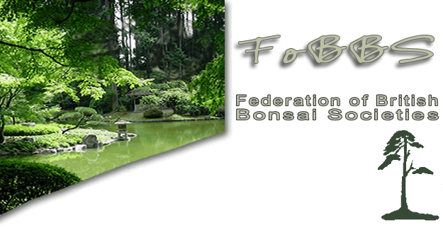 FoBBS