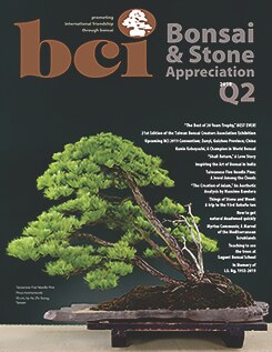 2019 Q2