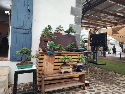 Mini expo 15 de noviembre de 2025