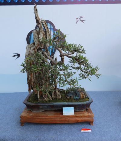 Dẫn Ngâm Đồ