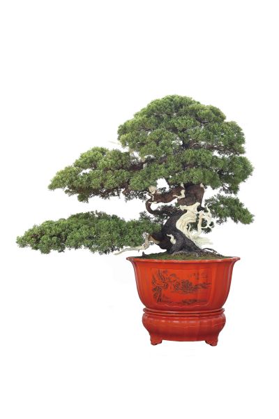Đẩy hai tay ra, ánh trăng trước cửa sổ.