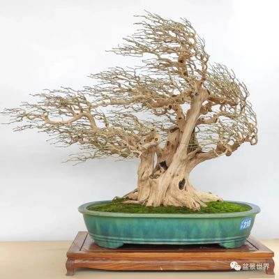 Song of the Great Wind