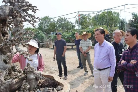 BCI Chairman Chen Chang visits Jiangmen for investigation and research