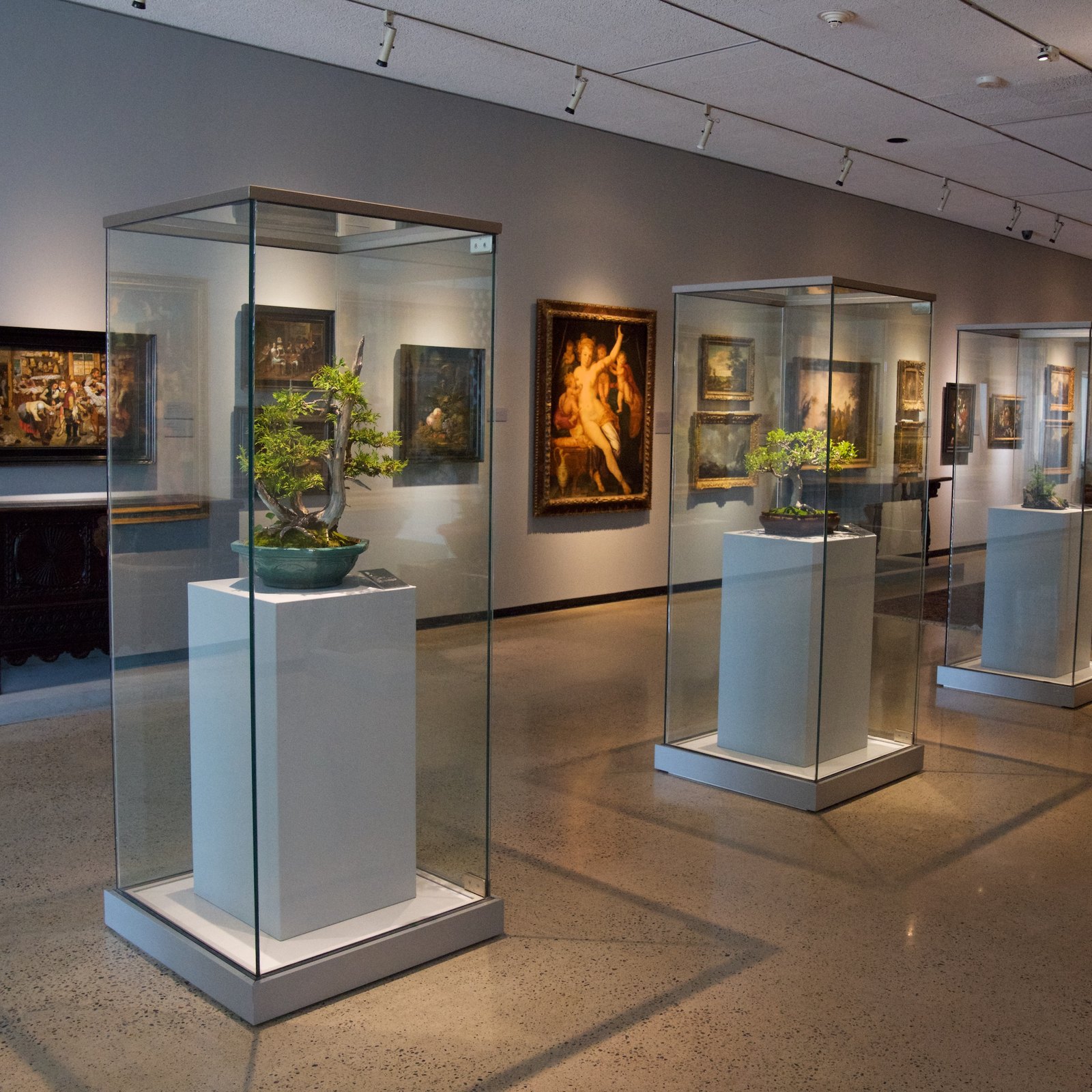 Bonsai Winnipeg's curated exhibit at the Winnipeg Art Gallery in 2023