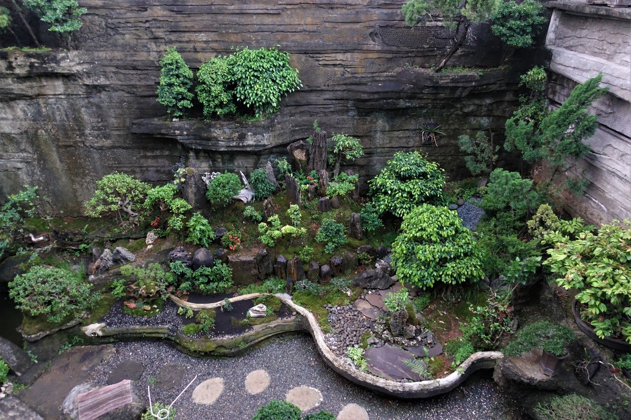 At one February meeting, we visited Budi Sulistyo's courtyard garden in Jakarta by Zoom. Budi gave us a grand tour of his garden and beautiful bonsai