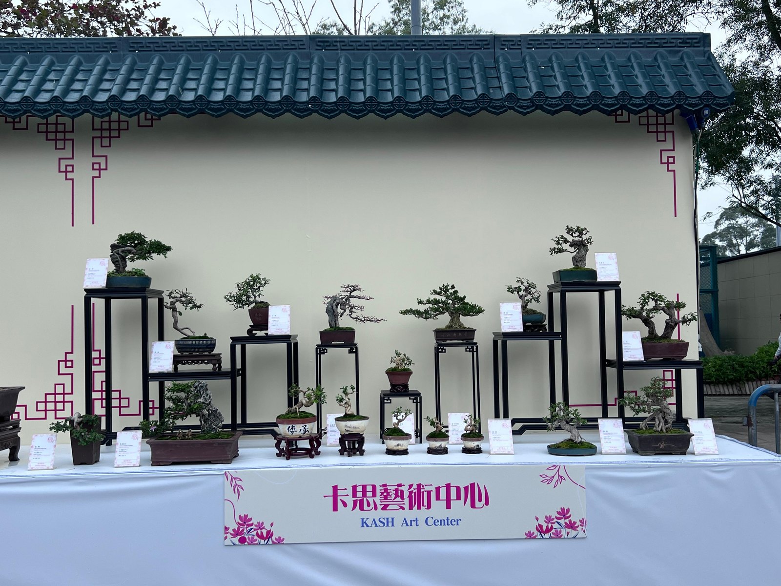 Where Southern Breezes Drift: Lingnan Penjing in Bloom at Victoria Park in Hong Kong
