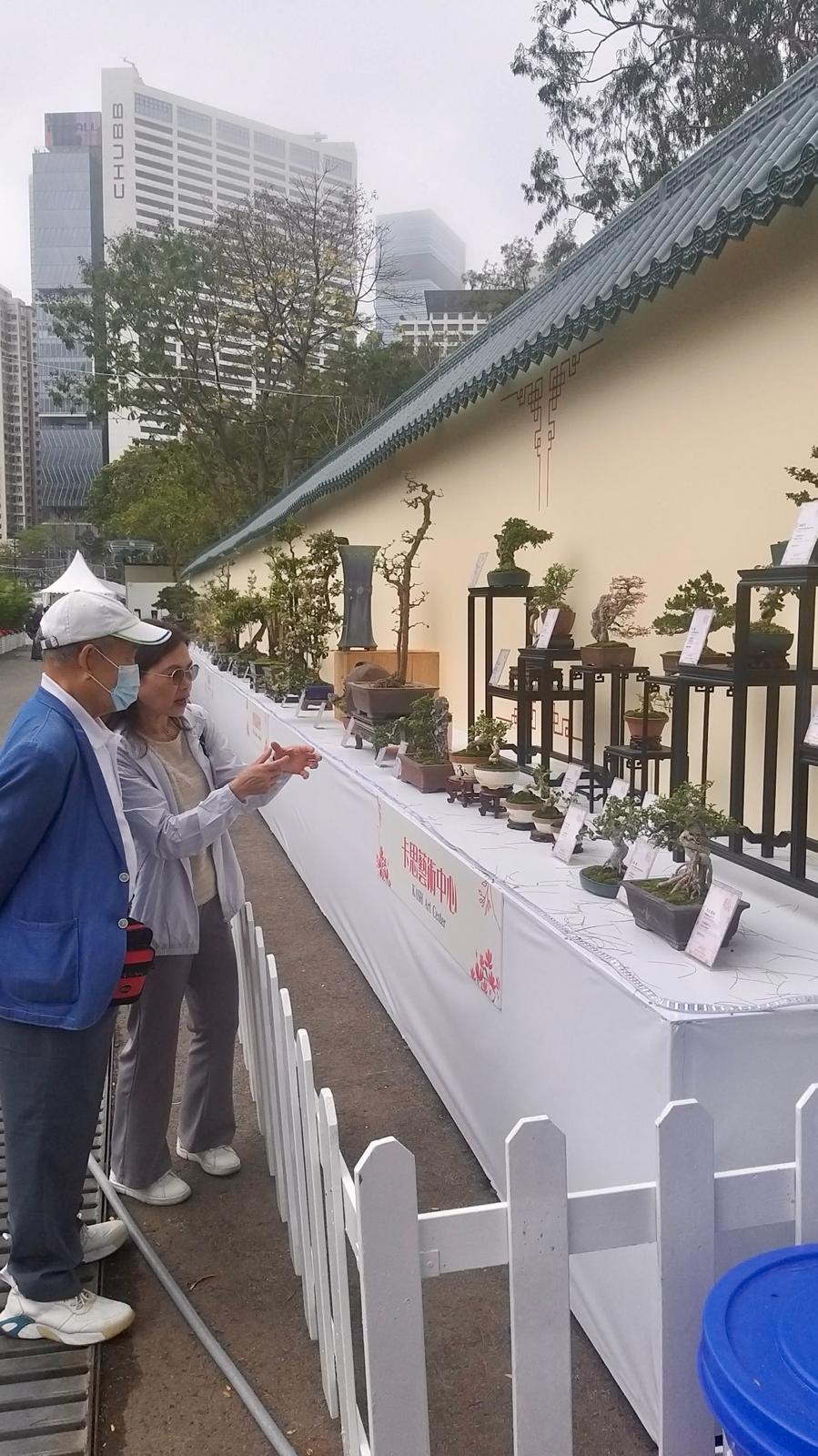 Ms. Ho Wai Fong, Penjing instructor, introduced the principles of Lingnan Penjing to the visitors