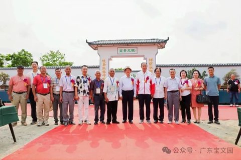 Riding the Wave of Free Trade Port Development: The 2026 First Bolan Bonsai Premium Invitational Exhibition Grandly Opens in Dongfang, Hainan