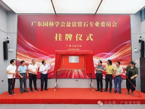 Chairman Chen Chang attended the plaque unveiling ceremony for the bonsai and scholar's rock cooperation at Guangzhou Cultural Park