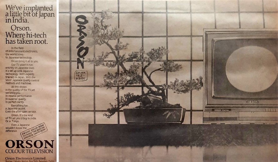 In 19B0, this Juniperus prostrata featured in an Orson TV ad.