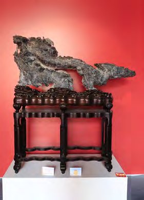 Fantastic Stone Exhibit: Prosperity Under the Dragon's Reign