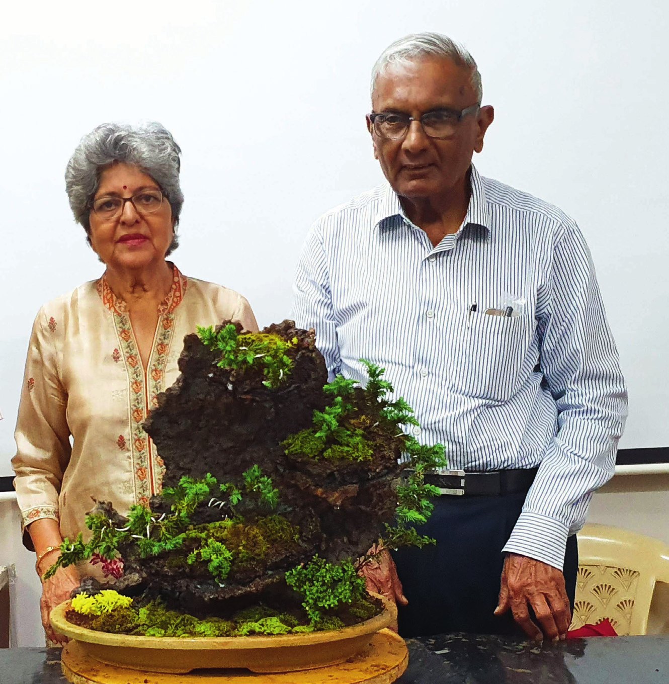 Jyoti and Nikunj Parekh showed their appreciative study group in Mumbai, step-by-step, how to create a saikei planting using iron slag pieces from a steel-making industry.