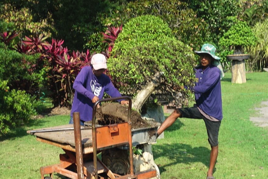 The on-going and continual work of taking careof the many plants in the Vilage.