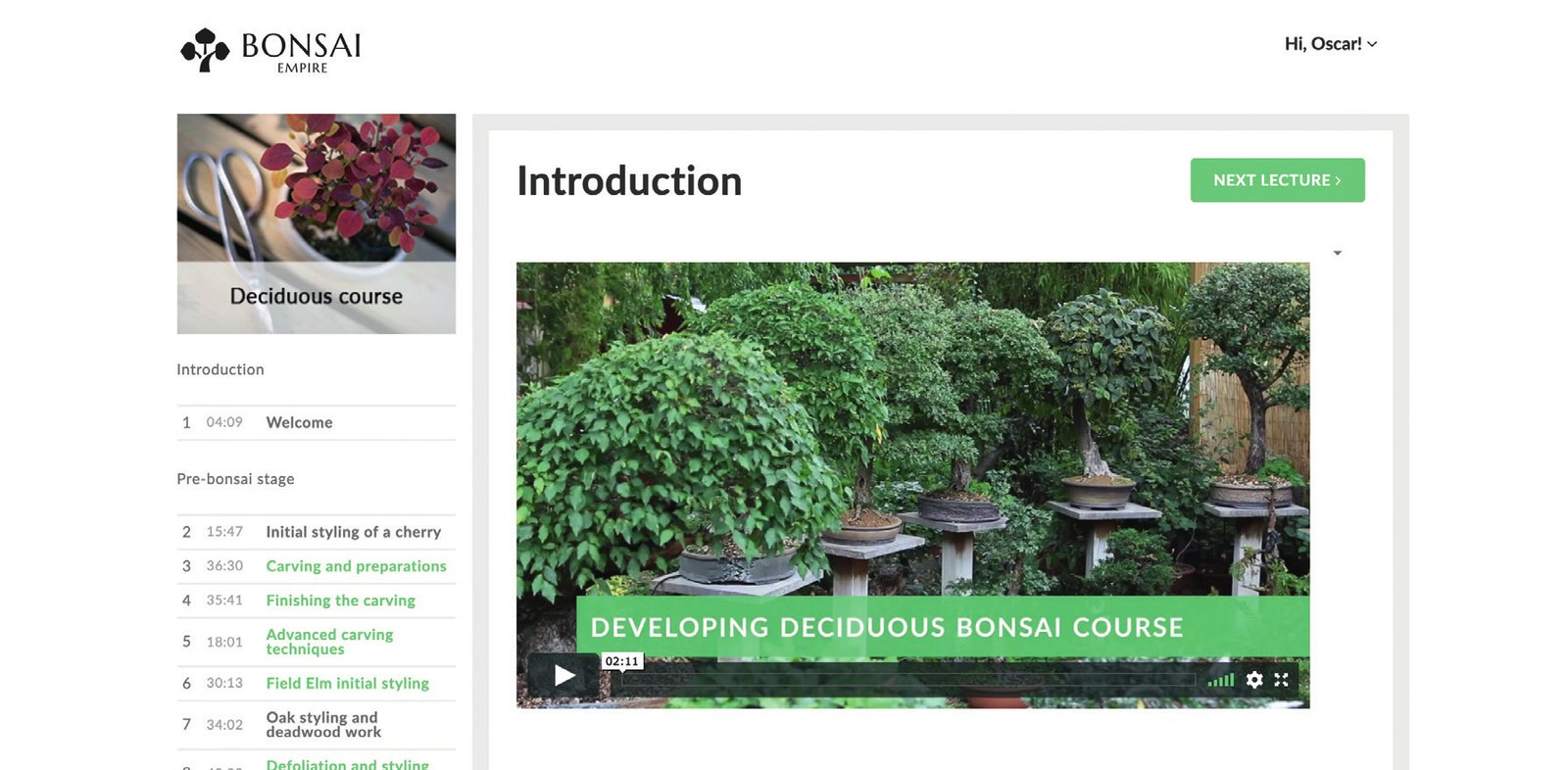 Online Bonsai Education: Developing Deciduous Bonsai