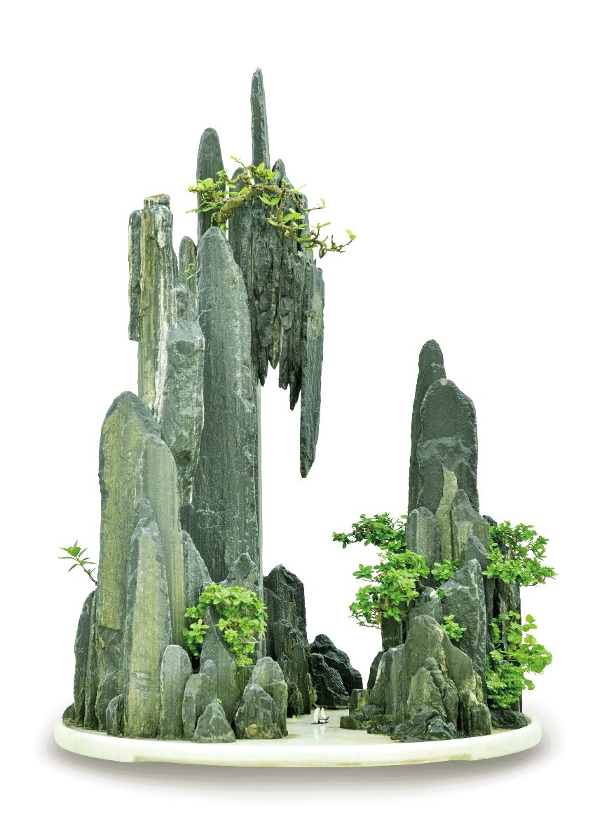Liu Chuangang's work "Shadows of Sails on the Gorge River" (ax-cut stone, Bolan, Shou Niangzi, pot diameter 70 cm, peak height 100 cm)