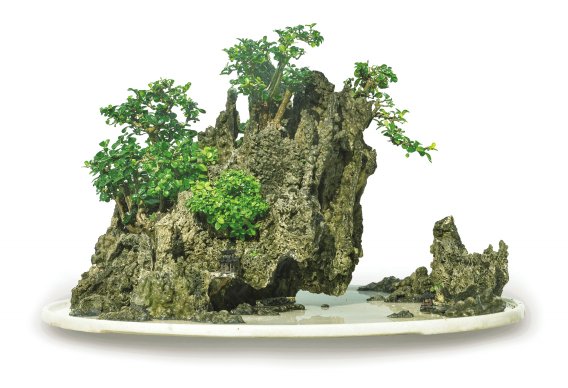 Liu Chuangang's work "Cloudy Ravine Immortal Dwelling" (Sea Mother Stone, Bolan (Blachia siamensis), Shou Niangzi, pot diameter 100 cm, peak height 60 cm)
