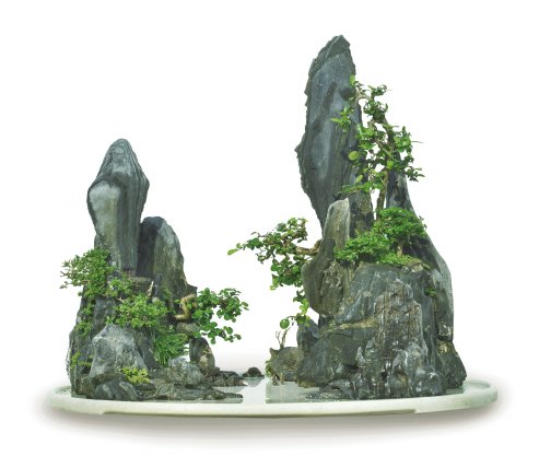 Liu Chuangang's work "Twin Peaks in Splendor" (Daba stone, Bolan (Blachia siamensis), Shou Niangzi, pot length 120cm, peak height 110cm)
