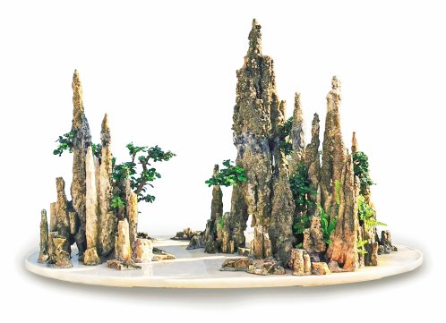 A Comprehensive Discussion on Bonsai Art (Part One)
