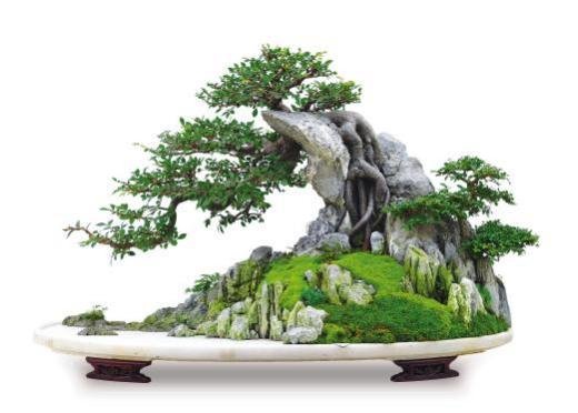 Title: Majestic Peaks and Graceful Shadows by the Cliff
Species: Elm, Yingde Stone
Dimensions: 100cm × 65cm
Artist: Jiang Yangyan