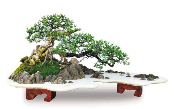 Title: Phoenix Reborn
Species: Iron Whip, Turtle Pattern Stone
Dimensions: 150cm × 70cm
Artist: Zhou Tianyong