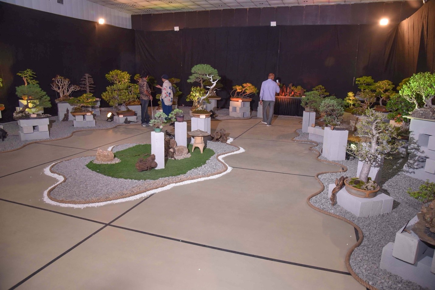 An Immersive Bonsai Landscape