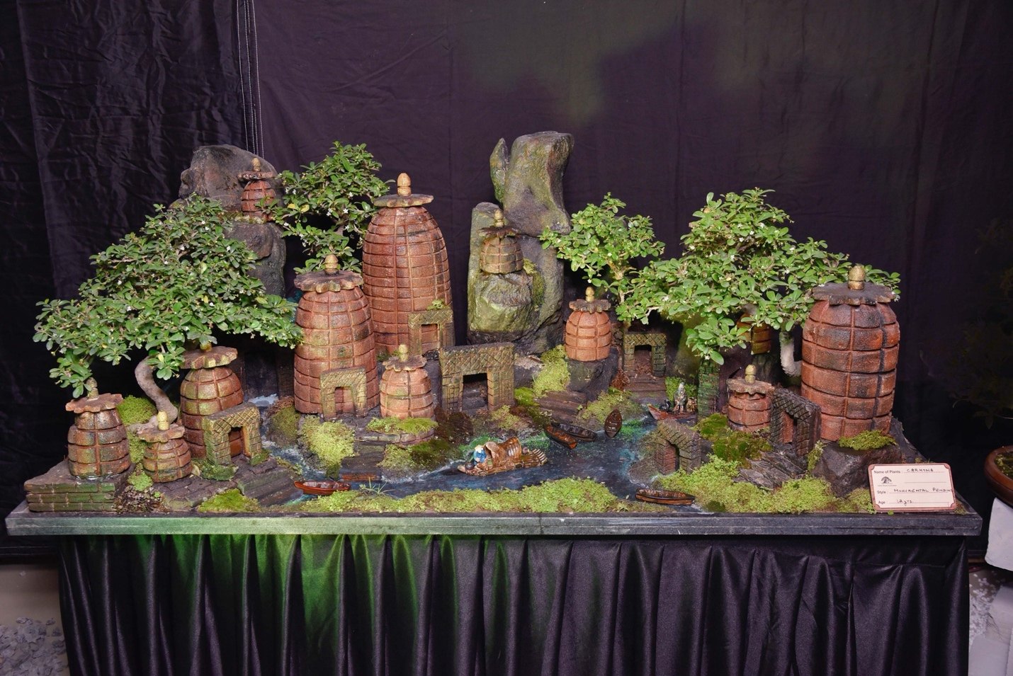A World Condensed, a Lifetime Paused, Chinese Elm, Diorama, by Saumik Das.