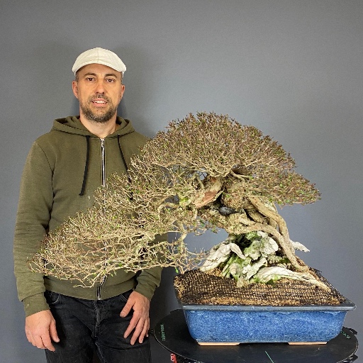 Bruno Proietti Tocca