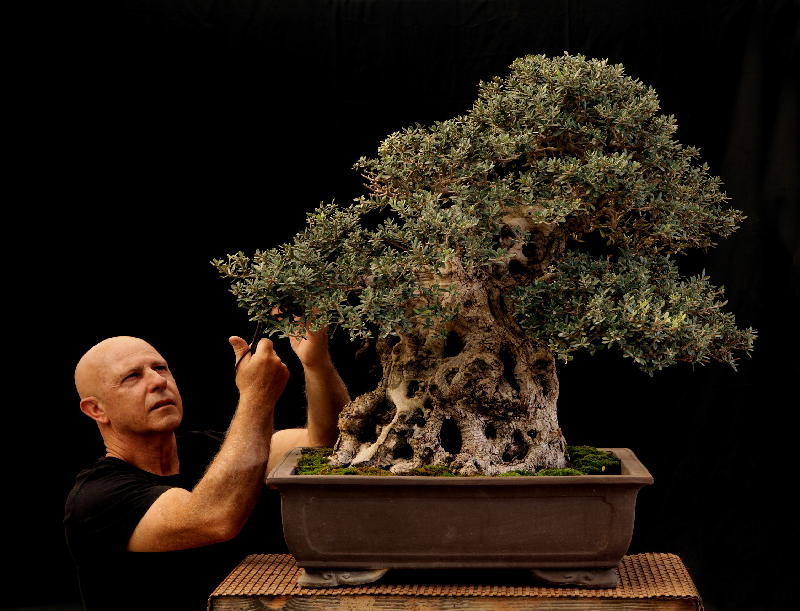Moshe Emergui