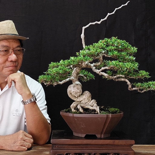 Budi Sulistyo