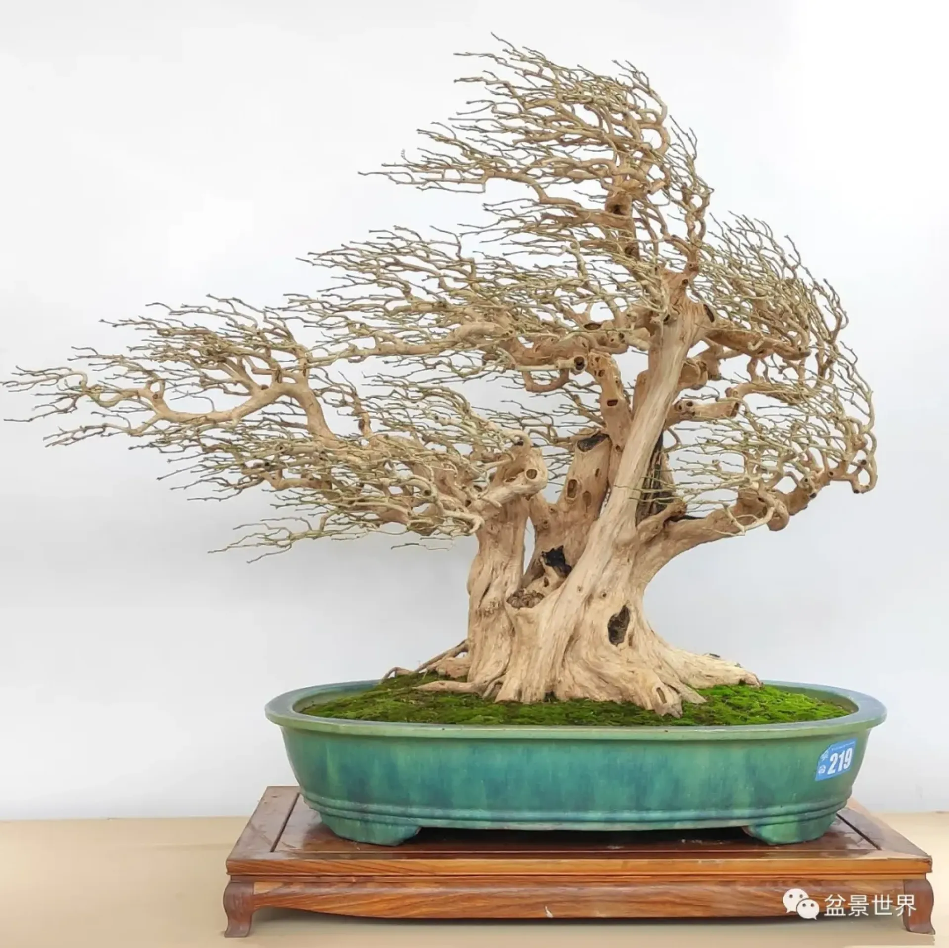 Song of the Great Wind