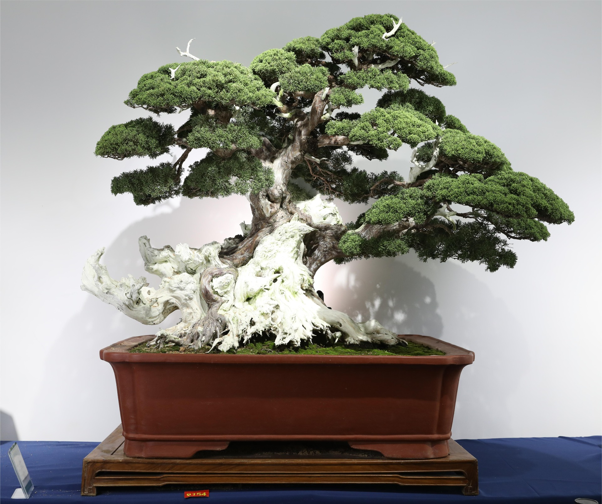 Qin Han Teng Yun